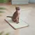IntiMeg Tapis griffoir pour chat 50 x 30 cm