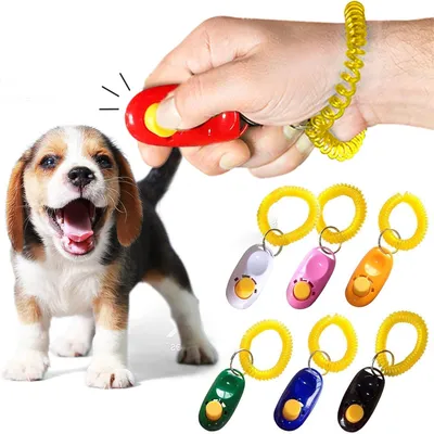 IntiMeg Jeu de 7 clickers pour chien