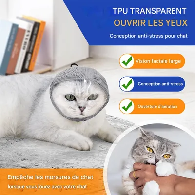 IntiMeg Coiffe anti-léchage pour chat