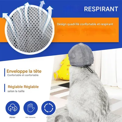 IntiMeg Gorro anti-lamido para gatos
