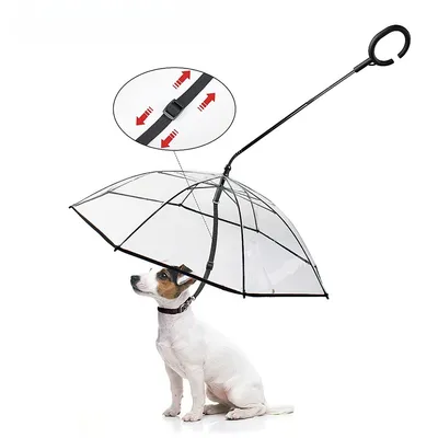 IntiMeg Parapluie pour animal de compagnie