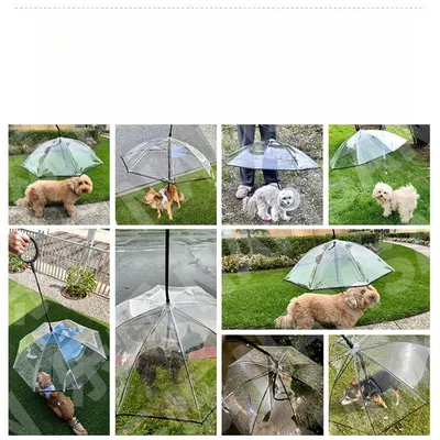 IntiMeg Parapluie pour animal de compagnie