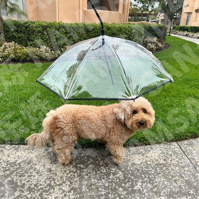 IntiMeg Parapluie pour animal de compagnie