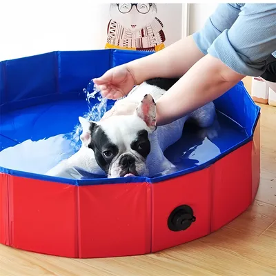 Pet Planet Baignoire pliable pour animaux de compagnie