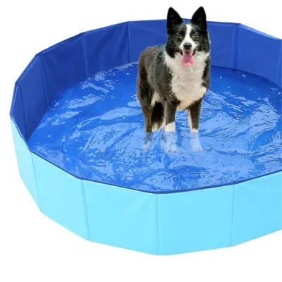 Pet Planet Baignoire pliable pour animaux de compagnie