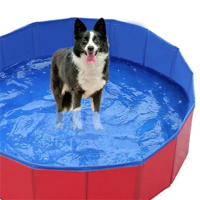 Pet Planet Baignoire pliable pour animaux de compagnie