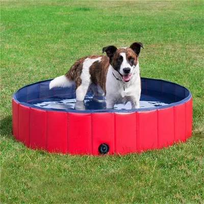 Pet Planet Baignoire pliable pour animaux de compagnie