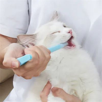 Pet Planet Distributeur de médicaments