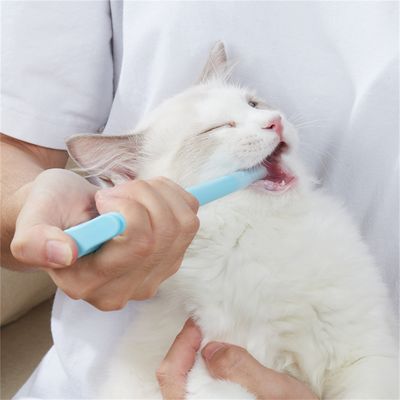 Pet Planet Distributeur de médicaments