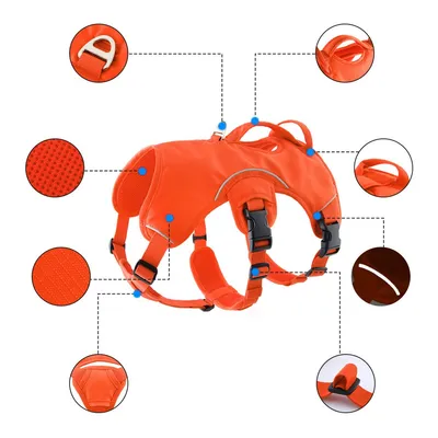 Pet Planet Harnais réfléchissant