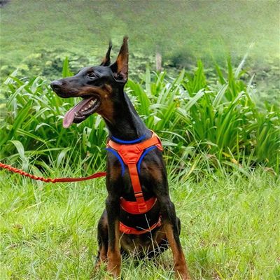 Pet Planet Harnais réfléchissant