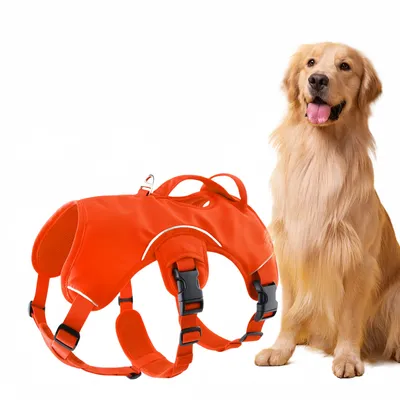 Pet Planet Harnais réfléchissant