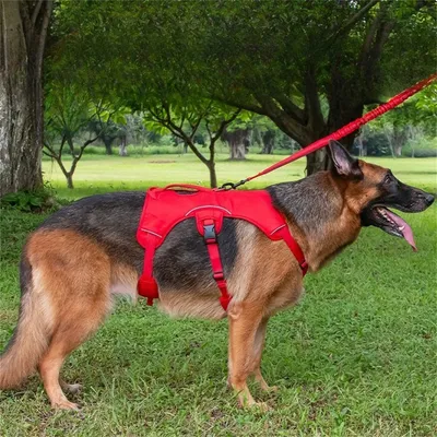 Pet Planet Harnais réfléchissant