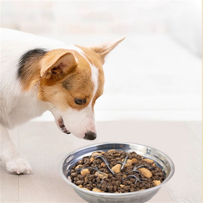 Pet Planet Diviseur Slow Food