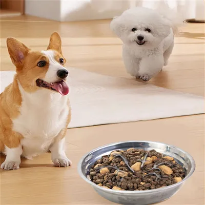 Pet Planet Diviseur Slow Food