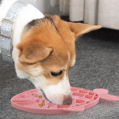 Pet Planet Assiette en silicone pour animaux de compagnie