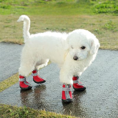 Pet Planet Chaussures de sport pour animaux de compagnie