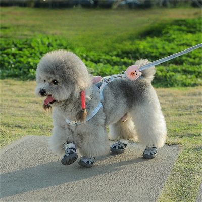Pet Planet Chaussures de sport pour animaux de compagnie
