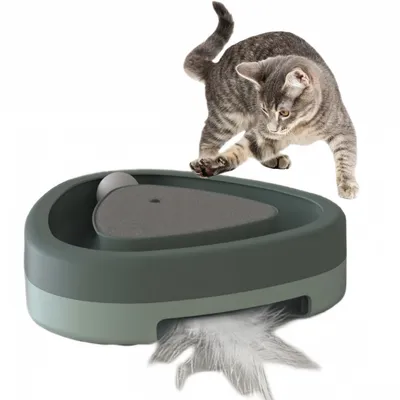 Pet Planet Disque rotatif triangulaire intelligent