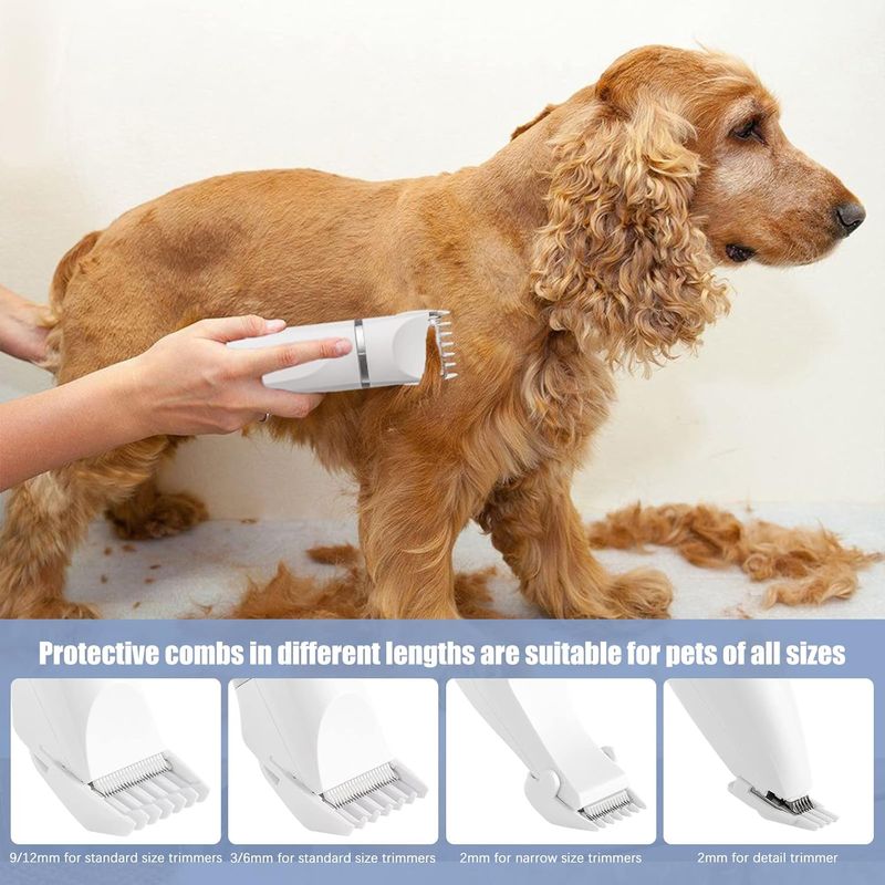 ZenPets 4 en 1 Tondeuse Professionnelle pour Chiens et Chats