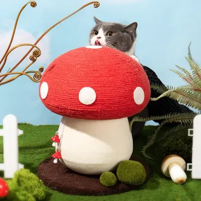 ZenPets Griffeuse pour chat en forme de champignon rouge