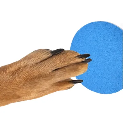 ZenPets Broyeur à ongles rotatif pour chien, jouet mangeur lent