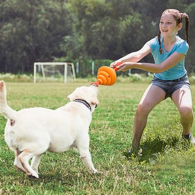 ZenPets Balle à friandises pour chien en forme de ruche