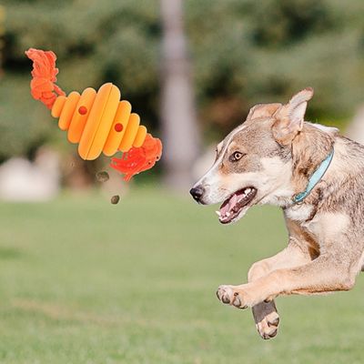 ZenPets Balle à friandises pour chien en forme de ruche