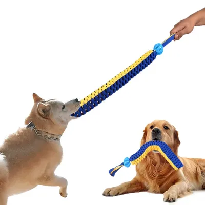 ZenPets Jouet éducatif pour chien en forme de plateau tournant vert