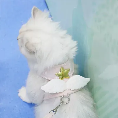 ZenPets Traction à ailes d'ange pour chats et chiens