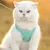 ZenPets Laisse pour chaton Type de sangle