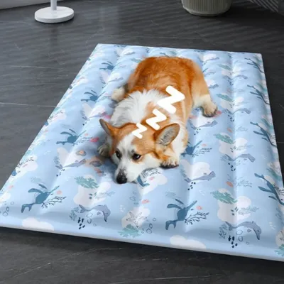 ZenPets Matelas réfrigérant pour chien et chat 40*30cm