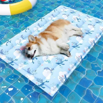 ZenPets Matelas réfrigérant pour chien et chat 40*30cm