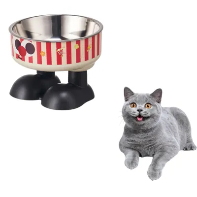 ZenPets Gamelle haute pour chat et chien ZenPets Gamelle haute pour chat et chien
