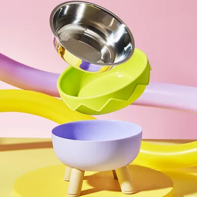 ZenPets Gamelle en acier inoxydable à pieds hauts pour chien et chat