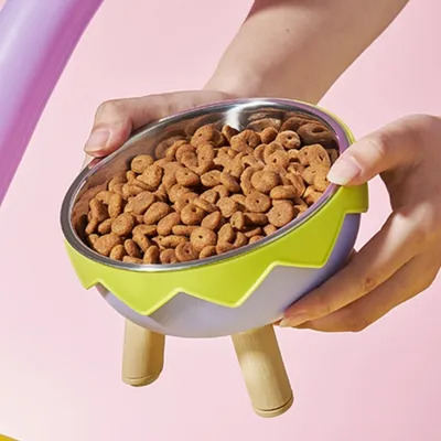 ZenPets Gamelle en acier inoxydable à pieds hauts pour chien et chat