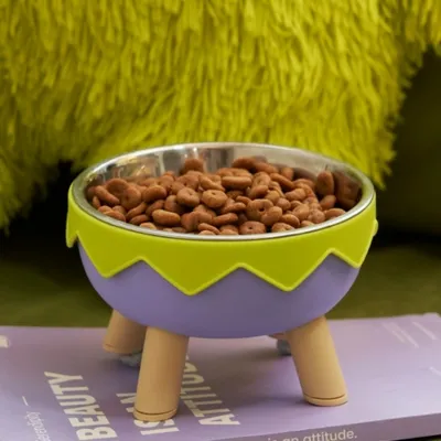 ZenPets Gamelle en acier inoxydable à pieds hauts pour chien et chat