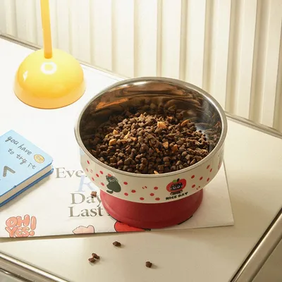 ZenPets Bol en acier inoxydable pour chat et chien