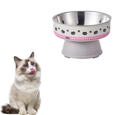 ZenPets Bol en acier inoxydable pour chat et chien