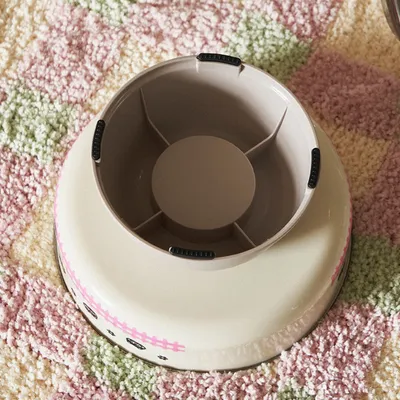 ZenPets Bol en acier inoxydable pour chat et chien