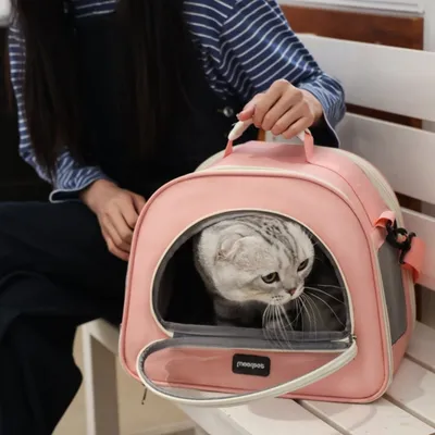 ZenPets Sac à dos pour chat en déplacement