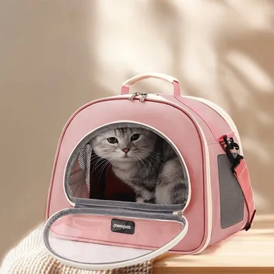 ZenPets Sac à dos pour chat en déplacement