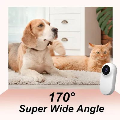 ZenPets Collier de caméra de sport pour chat et chien