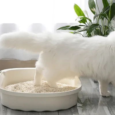 ZenPets Perles déodorantes pour litière de chat