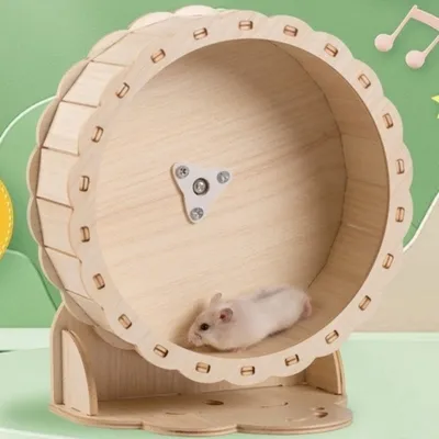ZenPets Roue de sport en bois pour hamster