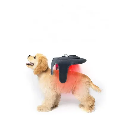 ZenPets Ceinturon de physiothérapie à infrarouge pour chats et chiens