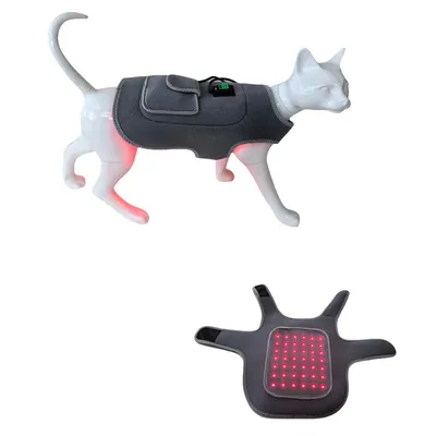 ZenPets Ceinturon de physiothérapie à infrarouge pour chats et chiens ZenPets Ceinturon de physiothérapie à infrarouge pour chats et chiens