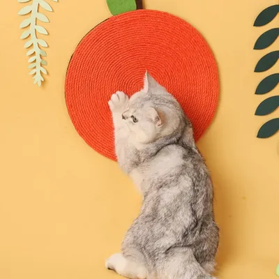 ZenPets Tapis à gratter orange pour chat