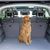 ZenPets Barrière de Séparation pour Voiture
