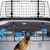 ZenPets Barrière de Séparation pour Voiture